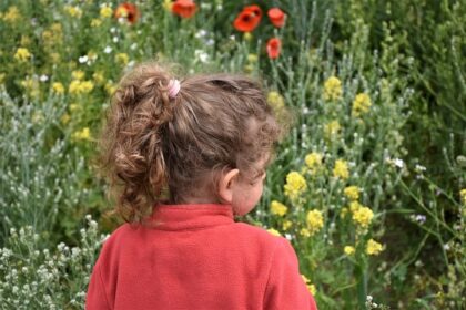 PBL AND REGGIO EMILIA APPROACH IN PREPRIMARY